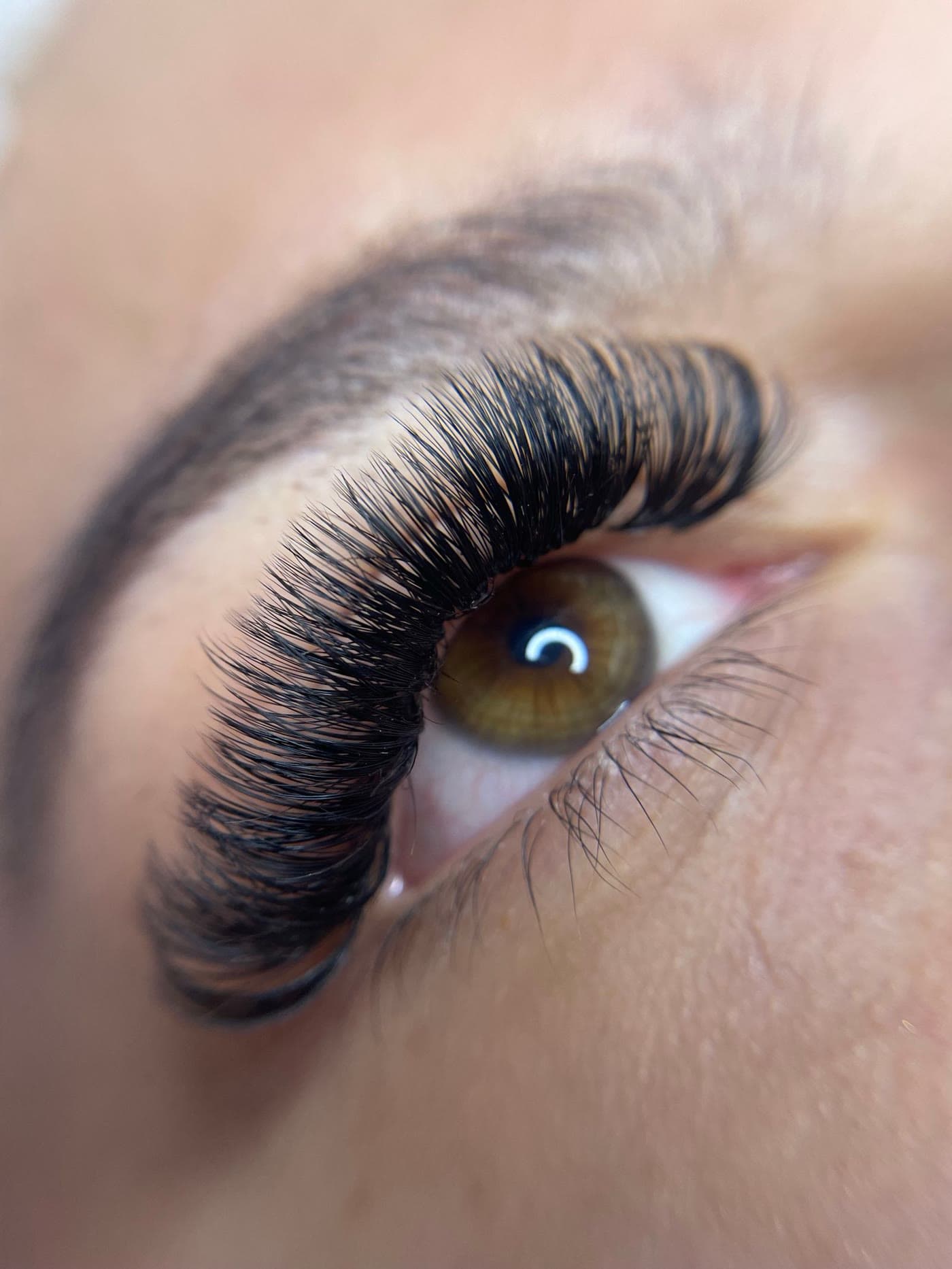 Close-up of full volume eyelash extensions on a brown eye