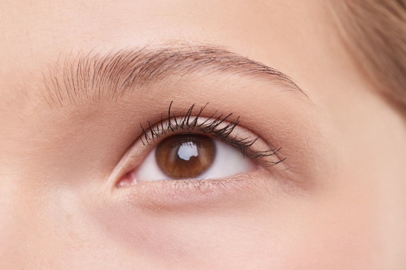Close-up of full, groomed eyebrows framing a brown eye